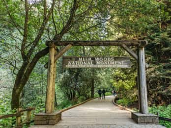 Från San Francisco: Guidad tur i Muir Woods