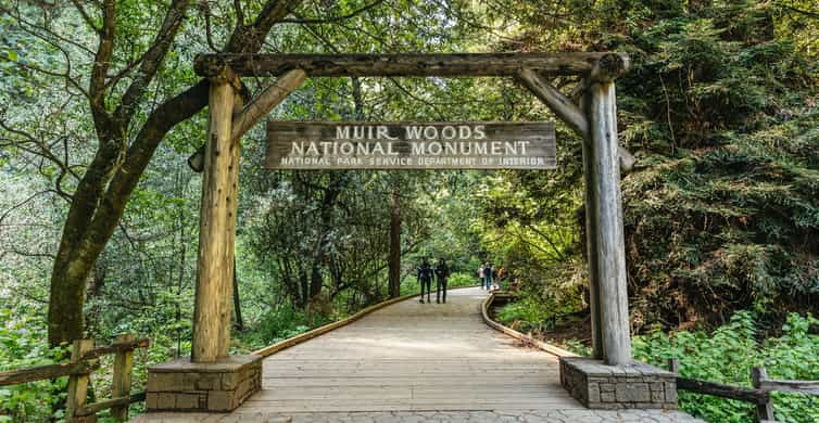 From San Francisco Muir Woods National Monument Guided Tour