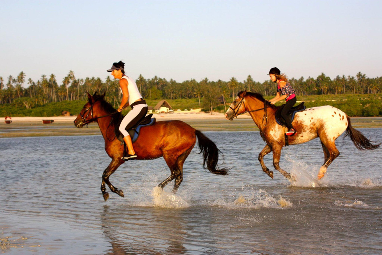 Lección de cocina con almuerzo, Visita a la isla de la Prisión, Paseos a caballo