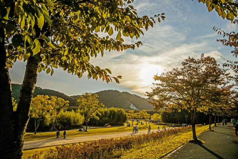 Pusan: Ulsan Taehwa River Garden - jesienna wycieczka z podziwianiem liściUlsan Autumn Foliage Group Tour, spotkaj się na stacji Haeundae