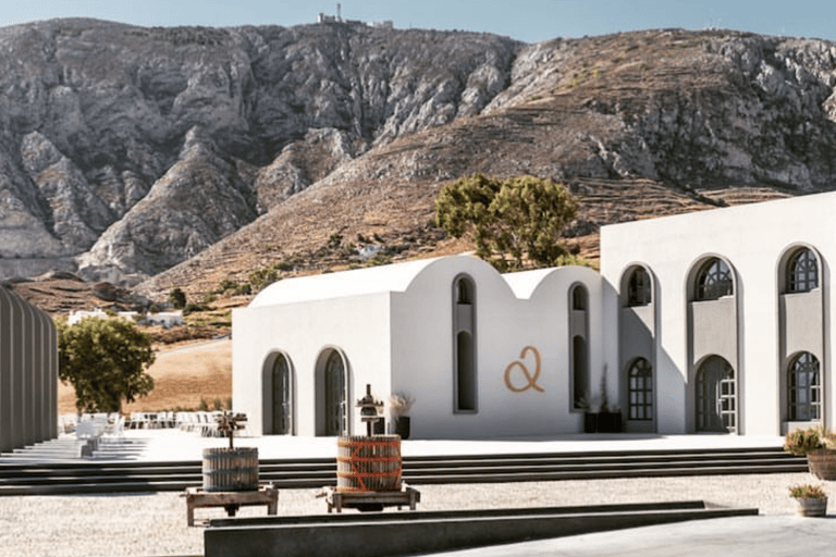 Santorin : visite en petit groupe de 3 vignobles locaux