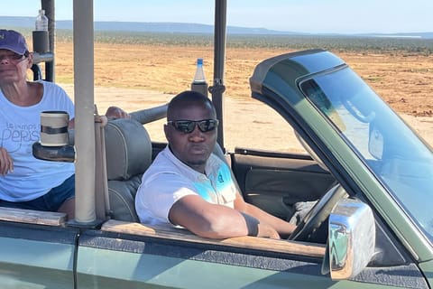 Port Elizabeth: 7-Day Garden Route Tour to Cape Town
