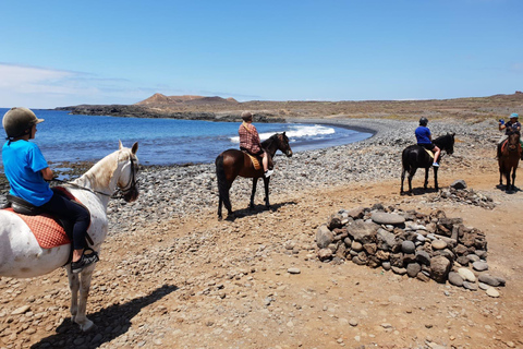 Tenerife South: Private Horseback Ride to the Coast