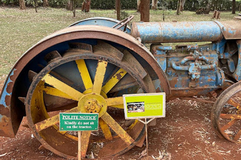 Dagstur till Elefantbarnhemmet och Karen Blixen Museum