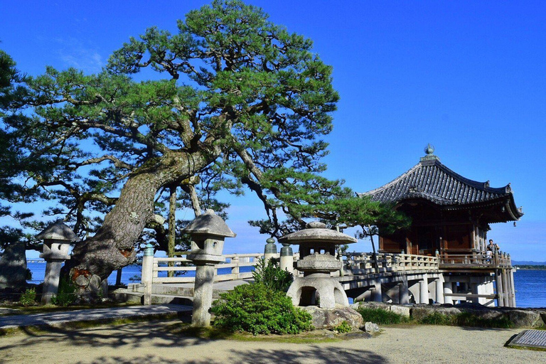 Nara: passeio ao entardecer com caligrafia e lanternasNara: caminhada ao entardecer com caligrafia e lanternas