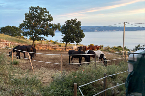 SPLIT: Podstrana Panoramic Quad Tour