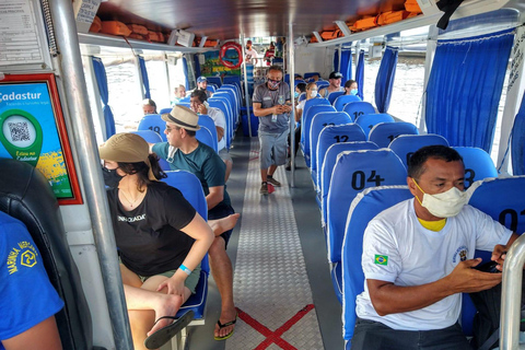 Manaus: Rio Negro and Solimões Tour Manaus: Rio Negro and Solimões River Tour