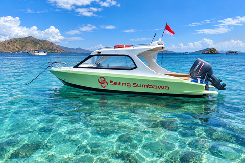 Labuan Bajo: 4-Day Sumbawa Whale Shark & Moyo with Flights Sharing Whale Shark & Moyo Island Private Tour