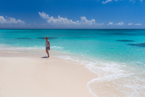 From Punta Cana: Saona Island Tour by Catamaran with Open Bar and Buffet Option with transportation from Punta Cana