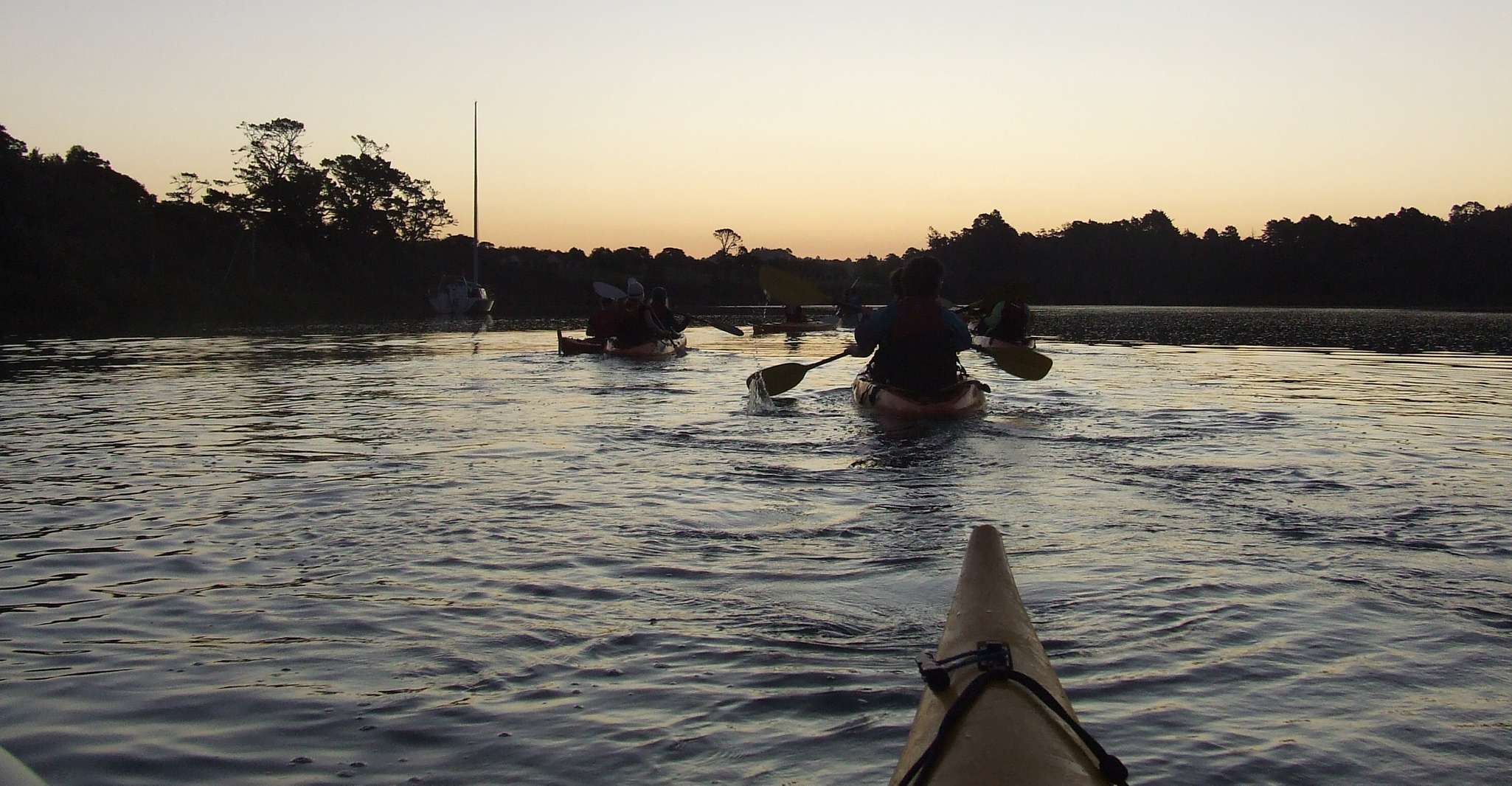 Auckland, Bioluminescence Kayak Tour by Night avec Tuition - Hizvo