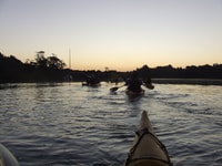 Auckland, Bioluminescence Kayak Tour by Night avec Tuition - Hizvo