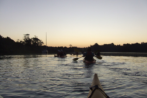 Auckland : Visite nocturne en kayak de la bioluminescence avec encadrementAuckland : Excursion nocturne en kayak à la recherche des bioluminescences avec cours