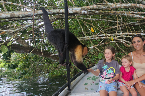 Panamá Vida Selvagem Gamboa Passeio de barco e Centro de Visitantes do Canal