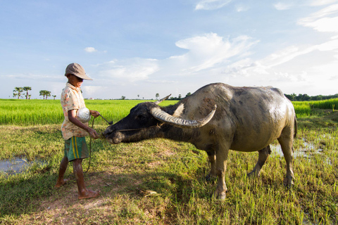 Phnom Penh: Silk Island Vespa Tour with Cooking Class