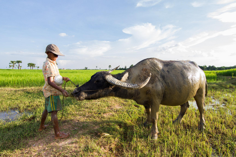 Phnom Penh: Silk Island Vespa Tour with Cooking Class