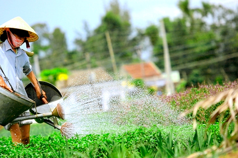 Hoi An : Cours de cuisine en soirée avec des locaux dans le village des herbes