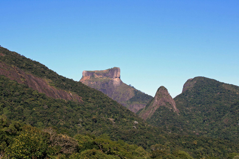 Rio de Janeiro: Zwiedzanie z przewodnikiem do Parku Narodowego Tijuca