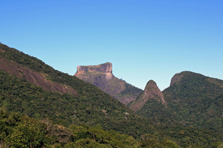 Rio de Janeiro: Zwiedzanie z przewodnikiem do Parku Narodowego Tijuca