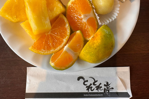 From Osaka: Shirahama Coastal Scenery Day Tour