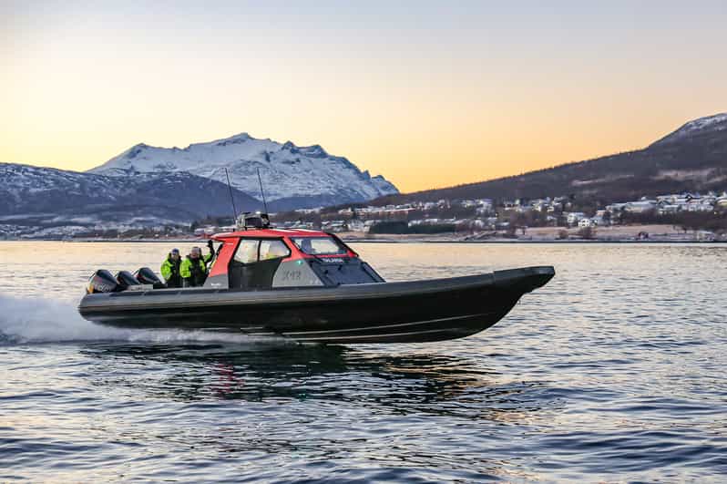 High Speed Rib Private Cruise with High Speed RIB | GetYourGuide