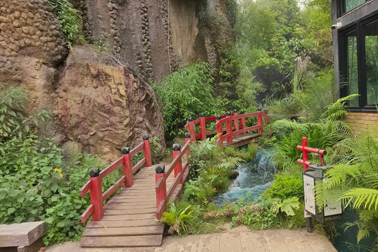 Chiang Mai:Wat Pha Lat,Doi Suthep&Sticky Waterfall Day Trip