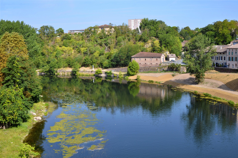 Half-Day Gaillac Wine Tour from Toulouse