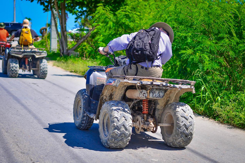 Punta Cana: Passeggiata a cavallo sulla spiaggia con pick-up