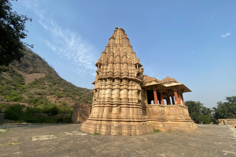 Jaipur: Excursión de un día a los Pozos Escalonados de Abhaneri y al Embrujado Bhangarh