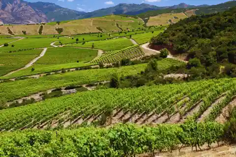 VIÑA CONCHA Y TORO - TOUR : CHILE