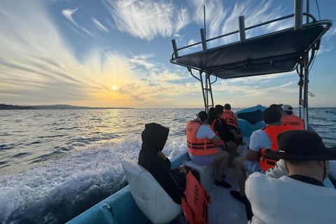 Puerto Escondido: Bootstour zu Delfinen und MeerestierenPrivate Tour