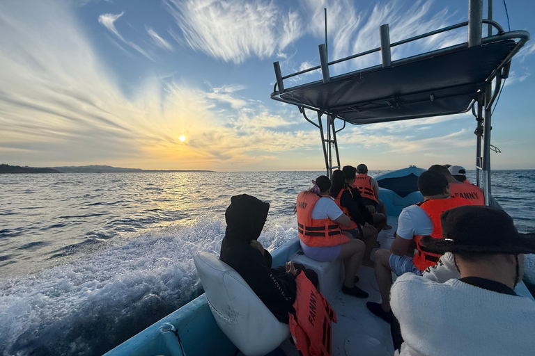 Puerto Escondido: Bootstour zu Delfinen und MeerestierenPrivate Tour