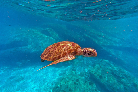 KhaoLak: Similan Islands Lazy Morning Snorkeling Catamaran