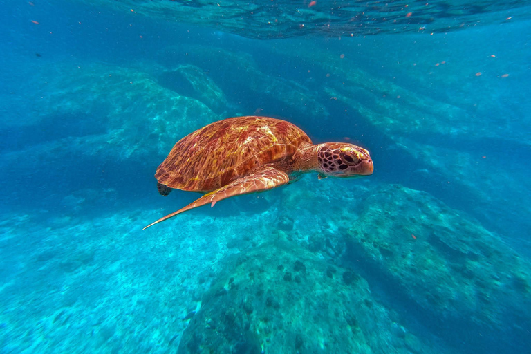 KhaoLak: Similan Islands Lazy Morning Snorkeling Catamaran