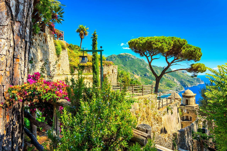 Da Napoli: tour per gruppi piccoli a Positano, Amalfi e RavelloSmall Group - up to 20 pax