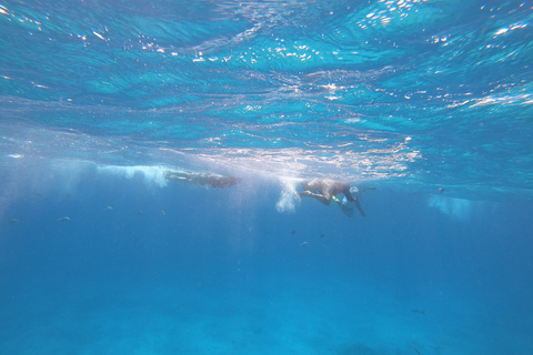 Isla Mujeres: Katamaran mit offener Bar und Schnorcheln in El MecoNur Eingang Kein Transport