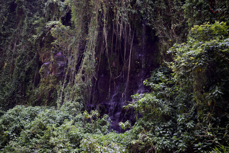 Moshi: Pernoita na aldeia de Chagga com opções para o segundo diaPasseio de um dia à aldeia Chagga e ao Kilimanjaro