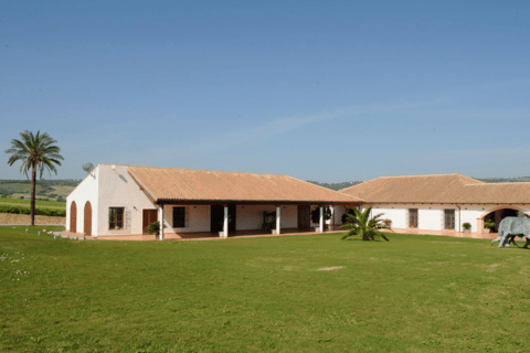 Standard Visit Huerta de Albalá Standard Visit to the Albalá Orchard