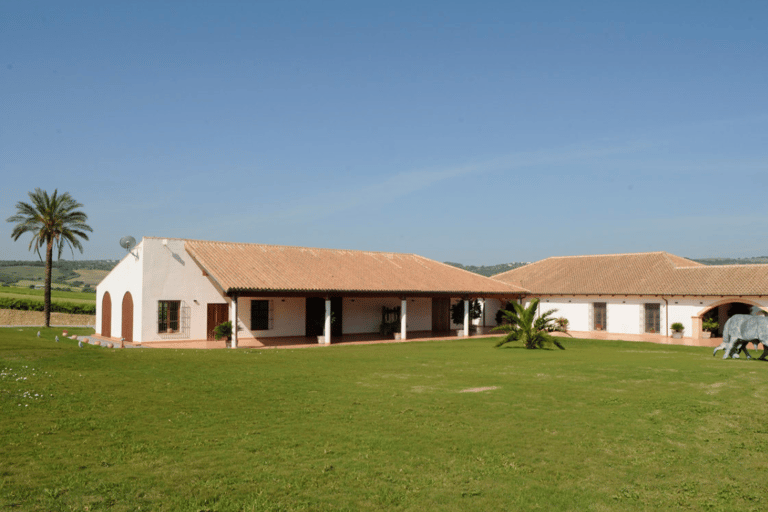 Standard Visit Huerta de Albalá Standard Visit to the Albalá Orchard