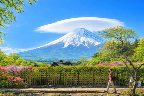 Tokyo: Mt Fuji & Arakurayama& Oshino Hakkai&Lake Kawaguchiko 8:00 AM | Shinjuku Station, West Exit