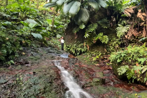 Advocaat Stephen Wandeling met waterval en grottentocht
