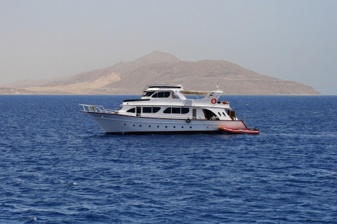 Sharm: Ras Mohamed Tauchen Bootsfahrt mit privaten TransfersBootsfahrt mit einem Schnuppertauchgang und privaten Transfers