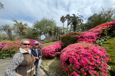 Beppu: Sound Bath Wellness Retreat at Ocean View Studio Private Sound Bath Wellness Retreat at Ocean View Studio