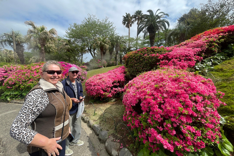 Beppu: Sound Bath Wellness Retreat at Ocean View Studio Private Sound Bath Wellness Retreat at Ocean View Studio