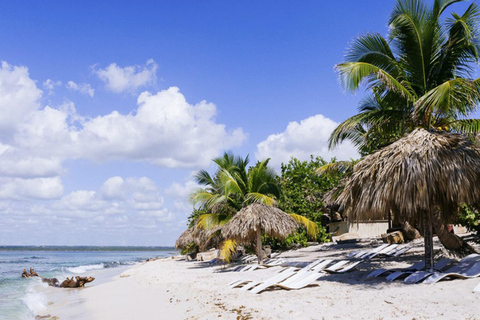 Bayahibe: Catalina Island Scuba Diving Tour with Lunch