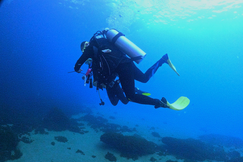 Experience the thrill of diving in Morocco Fun Dives