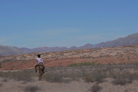 Horseback riding in the Calchaquí Valleys - Salta - Argentina