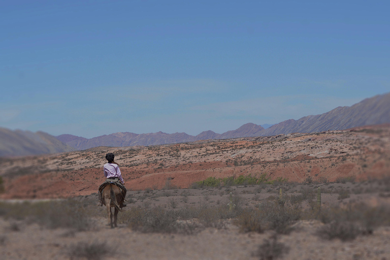 Horseback riding in the Calchaquí Valleys - Salta - Argentina
