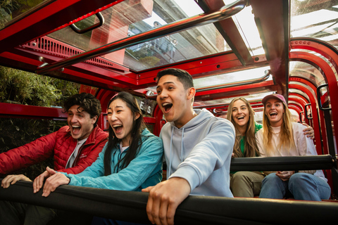 Japanese Tour Small Group: Blue Mountains, Scenic World, Zoo