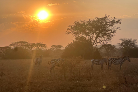 Entebbe: Nationaal Park Lake Mburo, Equator Tour &amp; Rondvaart