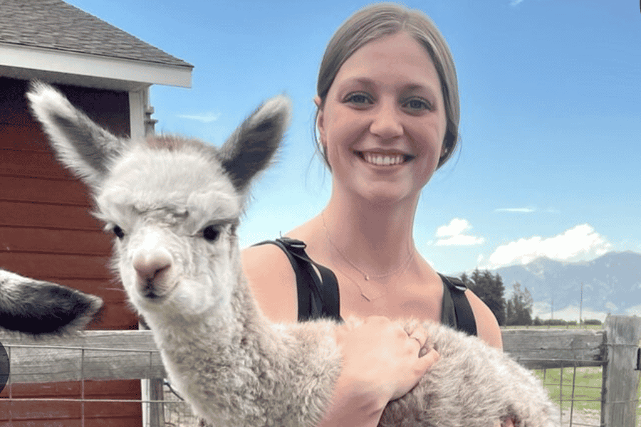 Bozeman: Alpaka- und Lama-Farm-Tour mit interaktivem Erlebnis. Foto: GetYourGuide Bozeman: Alpaka- und Lama-Farm-Tour mit interaktivem Erlebnis. Foto: GetYourGuide